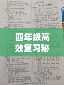 四年级高效复习秘籍，轻松掌握学习攻略！
