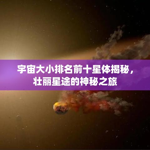 不飞则已