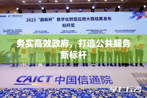 务实高效政府，打造公共服务新标杆
