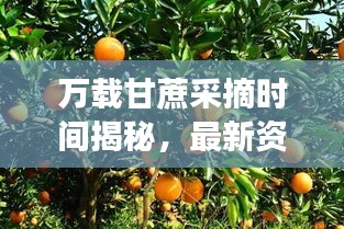 2025年6月24日