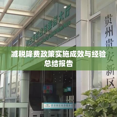 减税降费政策实施成效与经验总结报告