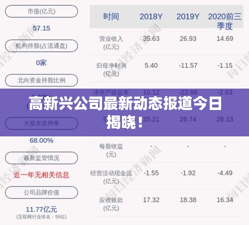 高新兴公司最新动态报道今日揭晓！